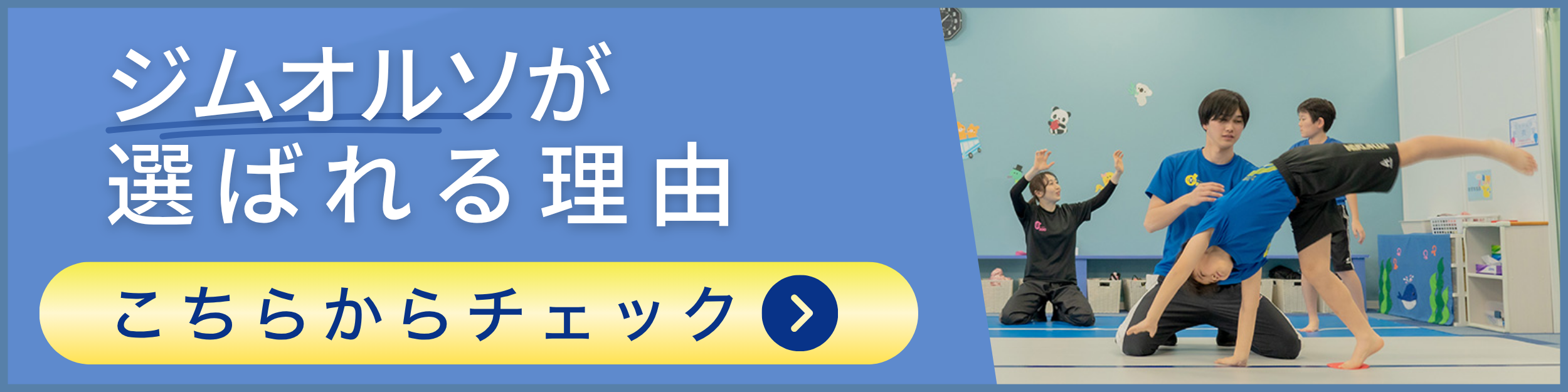 ジムオルソとは